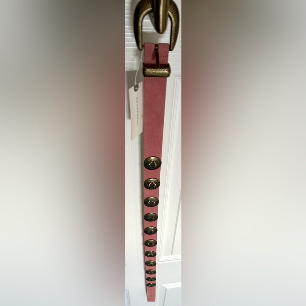 Nwt Linea Pelle Suede Western Belt Pink Antique Coin Studded Rare Boho Luxes — image 5 of 8